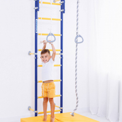 Комплекс «Шведская стенка ROMANA Next Top»