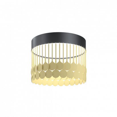 Дизайнерский светильник SVETHOLL Лимб накладной