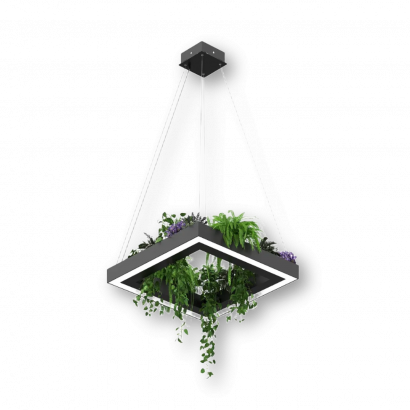 Дизайнерский светильник SVETHOLL Глоу квадрат плант подвесной