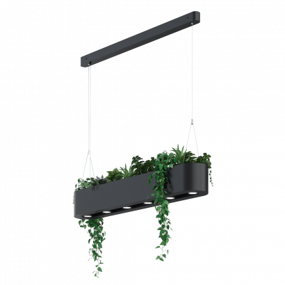 Дизайнерский светильник SVETHOLL Плант №14