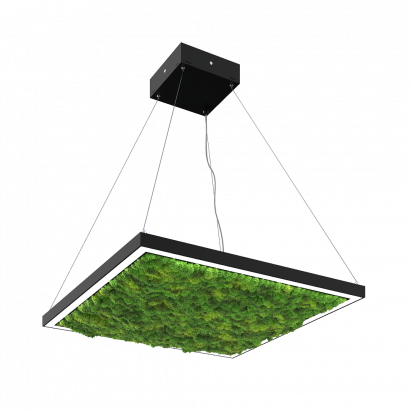 Дизайнерский светильник SVETHOLL Глоу Мосс квадрат