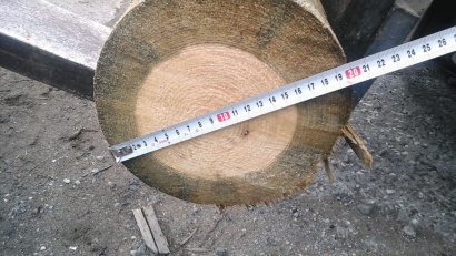 Деревянные опоры ЛЭП пропитанные 6-13 м