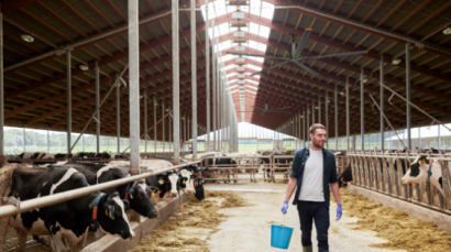 Большой потолочный вентилятор MonsterFan