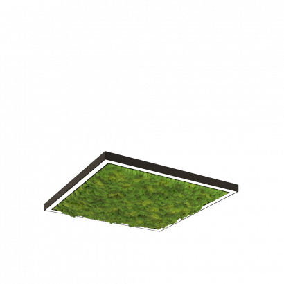 Дизайнерский светильник SVETHOLL Глоу Мосс квадрат