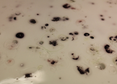 Бра MoonLight, арт. 32013-TGN