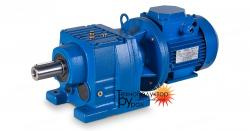 Мотор-редуктор МР 113 - МР 1116