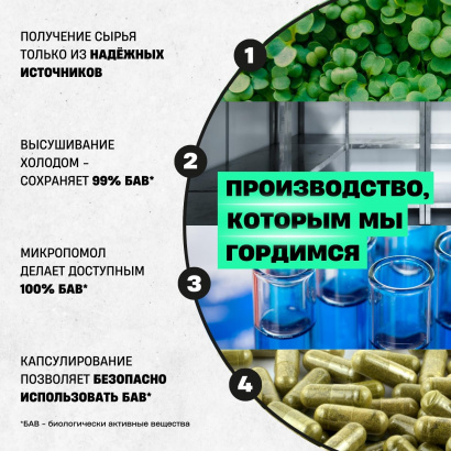 Комплексная пищевая добавка «EFFICIENCY»