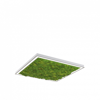 Дизайнерский светильник SVETHOLL Глоу Мосс квадрат