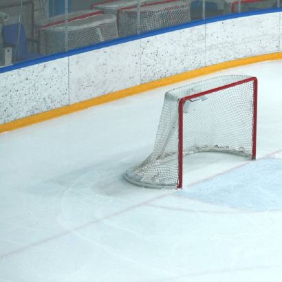 Поручень на перила ПЛ 80х10 (10 метров)