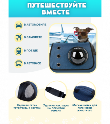 Переноска для животных, с окошком, синяя, 3899