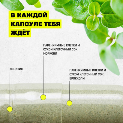 Комплексная пищевая добавка «VITAMINS»