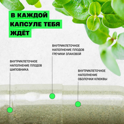 Комплексная пищевая добавка «IMMUNITY»