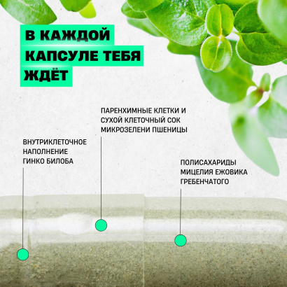 Комплексная пищевая добавка «EFFICIENCY»