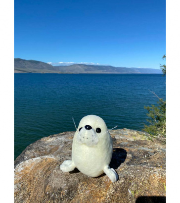 Мягкая игрушка нерпа Мультик, белый, 27 см, Mi007