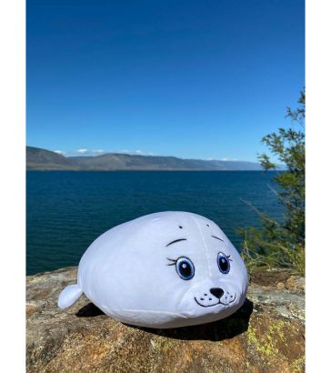 Мягкая игрушка нерпа Пышка, 45 см, Mi036