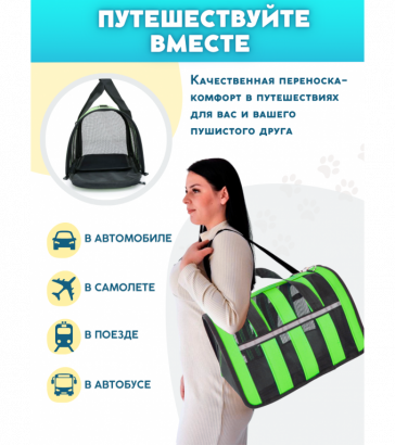 Переноска для животных, съемный коврик, зеленая, 9379