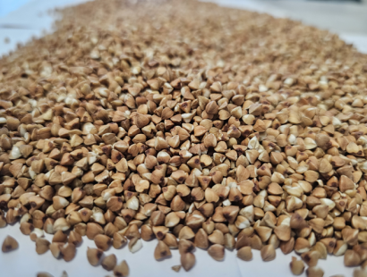 Гречневая крупа