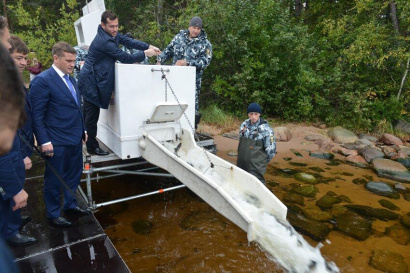 Изотермический контейнер для перевозки живой рыбы
