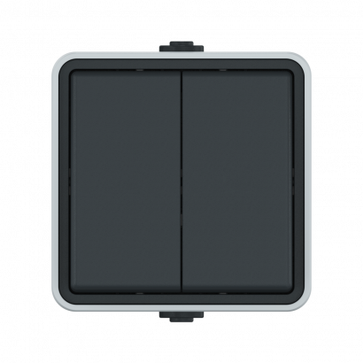 Выключатель двухклавишный CADUCEUS ALING PROTECTA для открытой проводки, 10АХ, 250В~ (Артикул: 22502.A1)