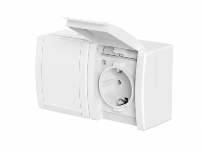 Розетка электрическая двухместная CADUCEUS ALING POWER для открытой проводки, без шторок, с крышкой, 16А, 250В~ (Артикул: 2412P)