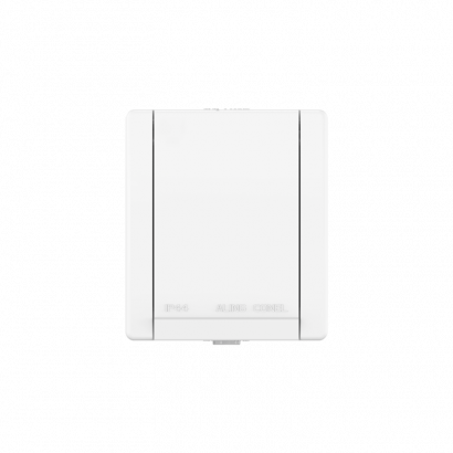 Розетка электрическая CADUCEUS ALING POWER для открытой проводки, без шторок, с крышкой, 16А, 250В~ (Артикул: 241)