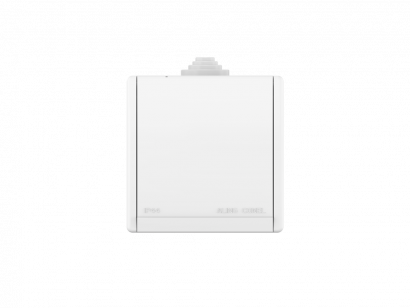 Розетка электрическая CADUCEUS ALING POWER для открытой проводки, без шторок, с крышкой, 16А, 440В~ (Артикул: 243)