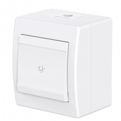 Выключатель одноклавишный CADUCEUS ALING POWER для открытой проводки, с символом Свет, 10АХ, 250В~ (Артикул: 255)