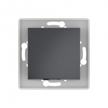 Выключатель скрытой установки CADUCEUS ALING PRESTIGE кнопочный, с символом Свет, 10АХ, 250В~, механизм (Артикул: 6009)