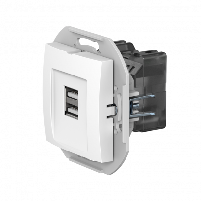 Розетка скрытой установки CADUCEUS ALING PRESTIGE двойная, USB, тип А, для зарядки устройств, 2,1А, 5В=, 250В~, механизм (Артикул: 60161)