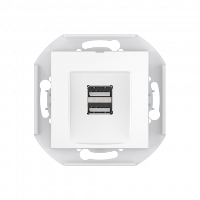 Розетка скрытой установки CADUCEUS ALING PRESTIGE двойная, USB, тип А, для зарядки устройств, 2,1А, 5В=, 250В~, механизм (Артикул: 60161)