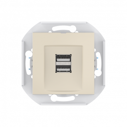 Розетка скрытой установки CADUCEUS ALING PRESTIGE двойная, USB, тип А, для зарядки устройств, 2,1А, 5В=, 250В~, механизм (Артикул: 60161)