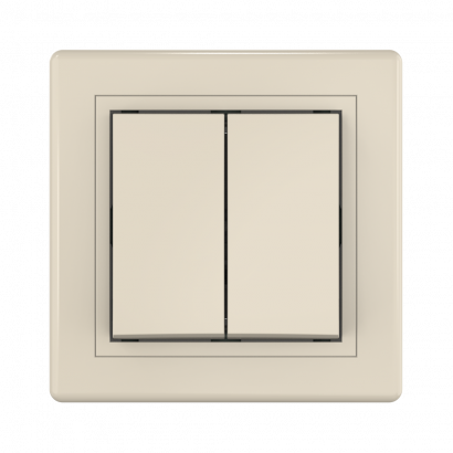 Выключатель скрытой установки CADUCEUS ALING PRESTIGE двухклавишный, 10АХ, 250В~ (Артикул: 606)