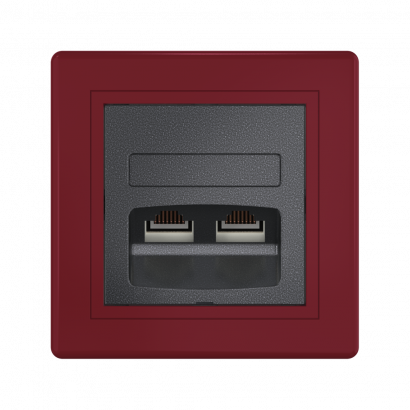 Розетка скрытой установки CADUCEUS ALING PRESTIGE двойная, компьютерная с модулями Keystone RJ45 8P8C, cat.5e, UTP (UTP - неэкранированный) (Артикул: 614)