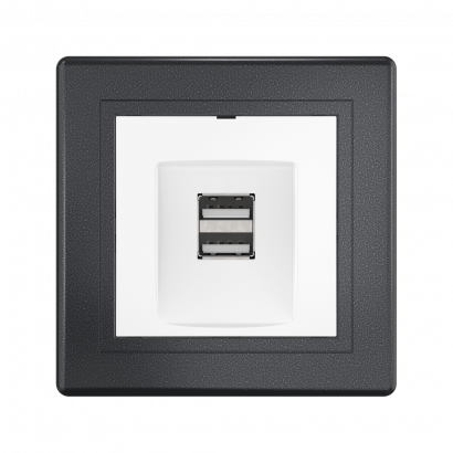 Розетка скрытой установки CADUCEUS ALING PRESTIGE двойная, USB, тип А, для зарядки устройств, 2,1А, 5В=, 250В~ (Артикул: 6161)