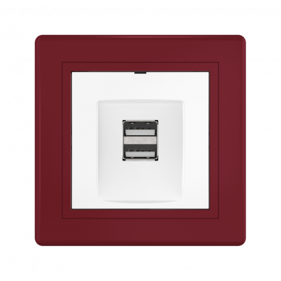 Розетка скрытой установки CADUCEUS ALING PRESTIGE с модулем Keystone USB 2.0 тип А-А, 250В~ (Артикул: 6162)