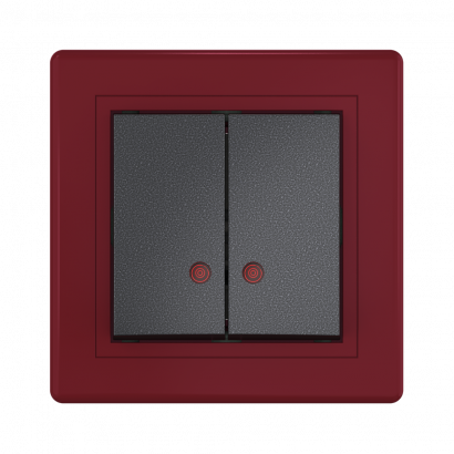 Выключатель скрытой установки CADUCEUS ALING PRESTIGE двухклавишный, с индикацией, 10АХ, 250В~ (Артикул: 626)