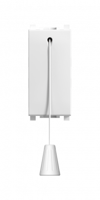 Выключатель CADUCEUS ALING EXPERIENCE для скрытой проводки, шнуровой, 16АХ, 250В~, механизм (Артикул: 72117)