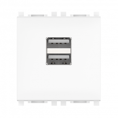 Розетка USB 2.0 тип А CADUCEUS ALING EXPERIENCE для скрытой проводки, для зарядки 2-х устройств (Артикул: 74283)