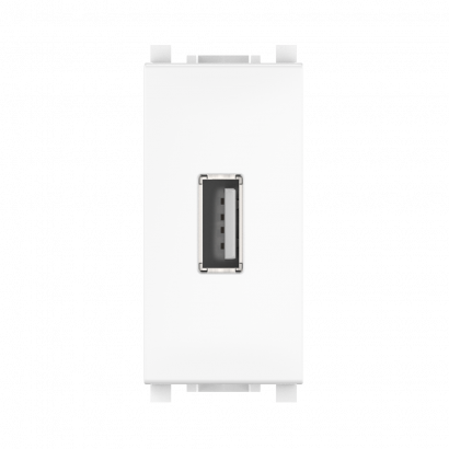 Розетка USB 2.0 тип А CADUCEUS ALING EXPERIENCE для скрытой проводки, для зарядки 1-го устройства (Артикул: 74289)