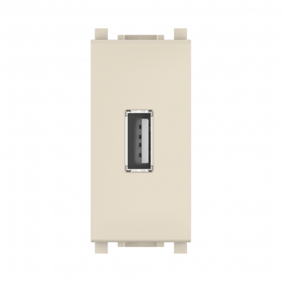 Розетка USB 2.0 тип А CADUCEUS ALING EXPERIENCE для скрытой проводки, для зарядки 1-го устройства (Артикул: 74289)