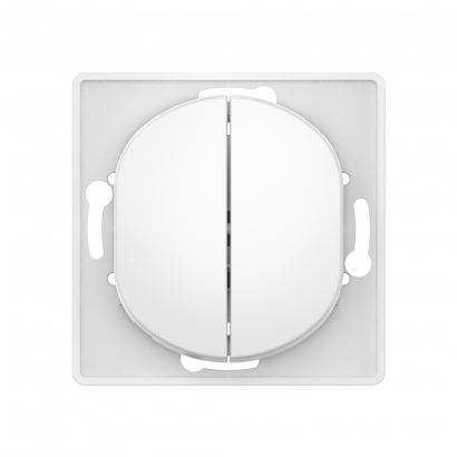 Выключатель скрытой установки CADUCEUS ALING EON, двухклавишный, проходной, 10АХ, 250В~, механизм (Артикул: E6072)