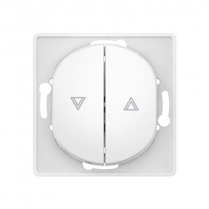 Выключатель скрытой установки CADUCEUS ALING EON, кнопочный, для рольставней, 10А, 250В~, механизм (Артикул: E6075)