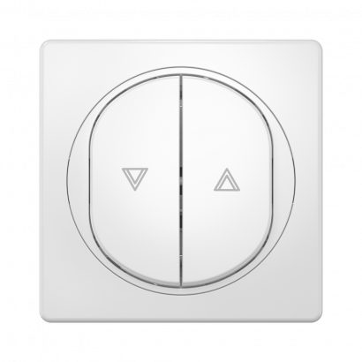 Выключатель скрытой установки CADUCEUS ALING EON, кнопочный, для рольставней, 10А, 250В~, механизм (Артикул: E6075)