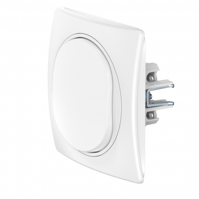 Выключатель скрытой установки CADUCEUS ALING EON, одноклавишный, проходной 10АХ, 250В~, механизм (Артикул: E607)