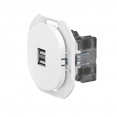 Розетка скрытой установки CADUCEUS ALING EON USB тип A для зарядки устройств, двойная, 2,1А, 5В=, 250В~, механизм (Артикул: E6161)