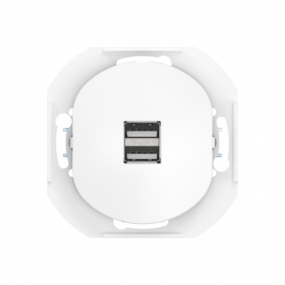 Розетка скрытой установки CADUCEUS ALING EON USB тип A для зарядки устройств, двойная, 2,1А, 5В=, 250В~, механизм (Артикул: E6161)