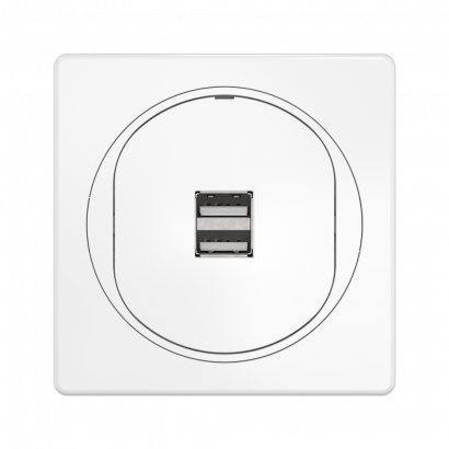 Розетка скрытой установки CADUCEUS ALING EON USB тип A для зарядки устройств, двойная, 2,1А, 5В=, 250В~, механизм (Артикул: E6161)