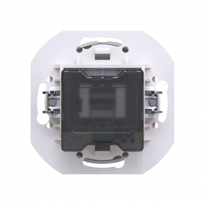 Розетка скрытой установки CADUCEUS ALING EON USB тип A для зарядки устройств, двойная, 2,1А, 5В=, 250В~, механизм (Артикул: E6161)