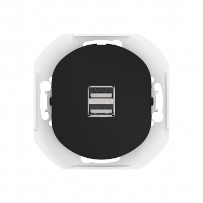 Розетка скрытой установки CADUCEUS ALING EON USB тип A для зарядки устройств, двойная, 2,1А, 5В=, 250В~, механизм (Артикул: E6161)