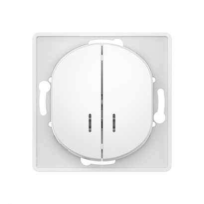 Выключатель скрытой установки CADUCEUS ALING EON, двухклавишный, с индикацией, 10АХ, 250В~, механизм (Артикул: E626)